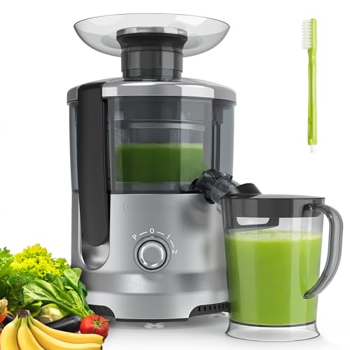 Image of NEWBULIG Centrifugal Juicer, 600W Juicer Machine with 2.5" Feed Chute & 17,000 RPM, 3-Speed Juice Extractor for Whole Fruits Vegetables, Easy to Clean, BPA-Free, Silver
