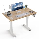 ExaDesk 40 x 24 elektriskt stående skrivbord, justerbar höjd, ståskrivbord, motoriserat hemmakontor dator spelarbetsstation skrivbord