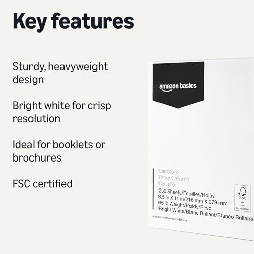 Amazon Basics Cardstock Paper, 8.5" x 11", 65 lb/176 gsm, 96 Bright White, 250 Sheets - View 4