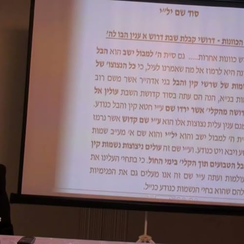 הרב יניב יעקב - שבת 41 - סוד שם יל"י - חלק א'