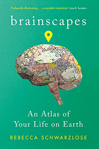 Brainscapes view 2