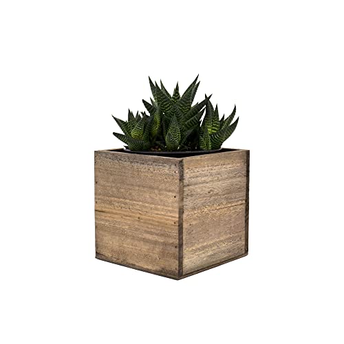 Cys Excel Cube Planter Box With Removable Plastic Liner (5"X5"X5")(4 Pcs) | Multiple Size Choices Wood Square Planter | Indoor Decorative Window Box #TOP3