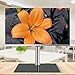 TV Wall Mount Mount, Table Top with Tempered Glass Base, Height Adjustable Tabletop TV Base Fits 14-27 Inch LCD Flat Screen TVs, Max 1600X100Mm Beautiful