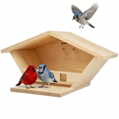 Dmnnlp Cedar Wood Bird House for Outside, Bird Houses with Triangular Opening, Hanging Small Bird Nesting Box for Bluebird,Robin, Hummingbird, Parakeet (Small Size)