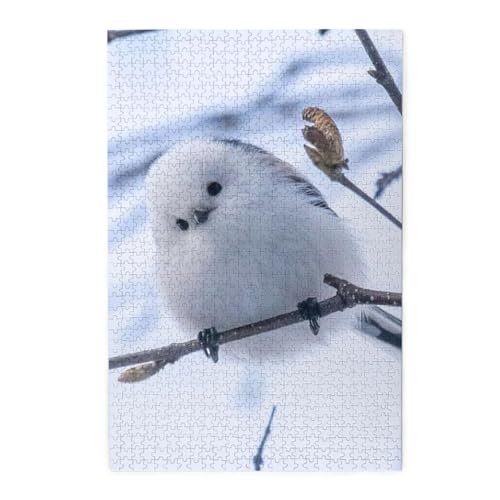 ؐs[X 1000s[X 킢 4 WO\[pY lp eqpY qFBւ̃v[gɂł