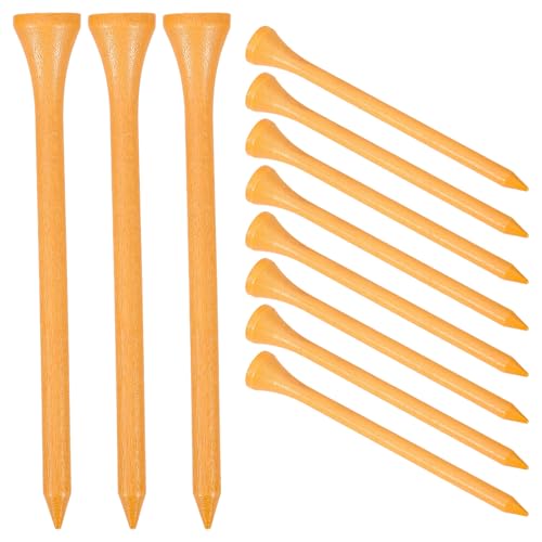 SEWACC 20 vtFbVipSteB[ yʑϋv ^St{[z_[t OKp֗ANZT[