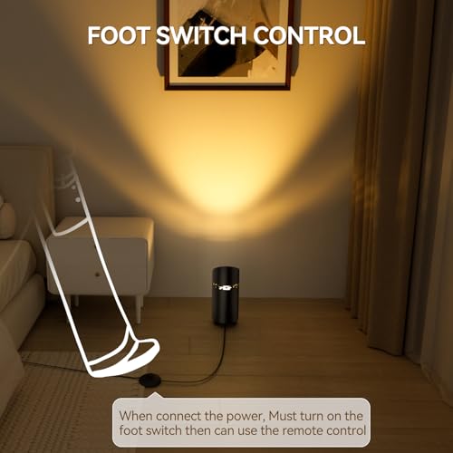Image of 2 Pack Uplights Indoor Multicolor Floor Can Lights, Black