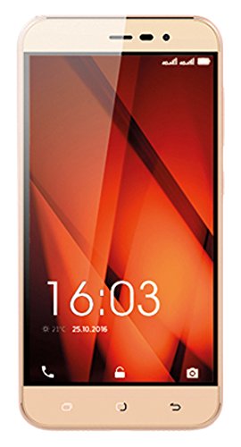 HISENSE F31 Oro 16 GB 4G/LTE Display 5 HD Slot