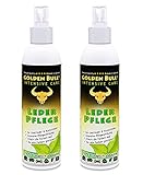 Golden Bull Premium LEDERPFLEGE Auto & Sofa intensiv 2x250ml | Natürliches Leder Kunstleder Pflege Spray zum Pflegen von Ledercouch Möbel Lederjacke Schuhe | Pflegemittel für Glattleder & Kunstleder