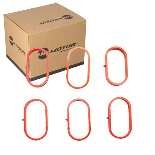 DR.MOTOR AUTOMOTIVE DRM01632S Kit de joints de collecteur d'admission Compatible avec AUDI A4 B7 Avant 8ED A6 C6 Avant 4F5 A6 C6 Berline 4F2 A4 B7 Berline 8EC A6 C6 Allroad 4FH
