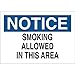 Brady 72328, No Smoking Sign, (Pack of 12 pcs)