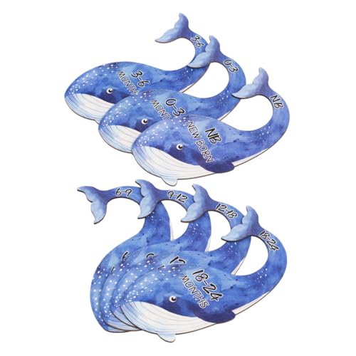 LOORGVEL 7ߗފu J[gD[NWfUC xr[ɂ