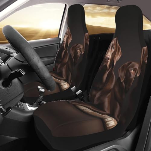 Housses de siège Labrador marron pour voiture : lot de 2 protections universelles