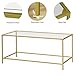 Homleke Glass Coffee Table, Modern Rectangular Coffee Table for Living Room, Minimalist Center Tea Table with Sturdy Metal Frame for Apartment, Office, Easy Assembly, 39.4 x 19.7 x 17.7 Inches, Golden