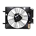TYC 610530 Cooling Fan Assembly Compatible with 2002-2006 Honda CRV
