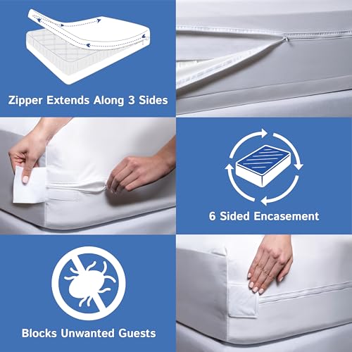 Twin Extra Long (Twin XL) Mattress Protector (8"-11" Depth) - Zippered Waterproof Cover - Fits College Dorm Twin XL Mattress - Hypoallergenic Premium Quality Encasement