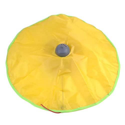 NGwenyicanI Katzenspielzeug, interaktives elektrisches Fitness-Studio-Spielzeug, Katzenspielplatte, unterbezogener Stoff, bewegliche Maus, Katzen Meow Spielen für Kätzchen, lustig Cover