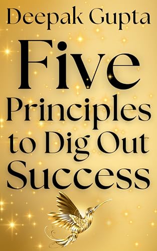 5 Principles To Dig Out Success: The Rules of Start, Roller coaster, Visibility, Stickiness, & Interstices (English Edition)
