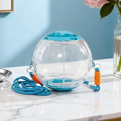 Bola hámster silenciosa con ventilación para el ejercicio seguro de erizos y planeadores 4