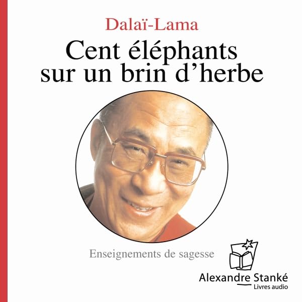 Cover art for Cent éléphants sur un brin d'herbe