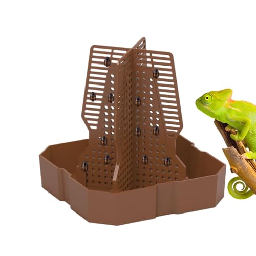 Comida Tortugas Terrestres Pequeñas Marca Genérico