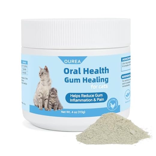 Gingivitis Treatment for Cats