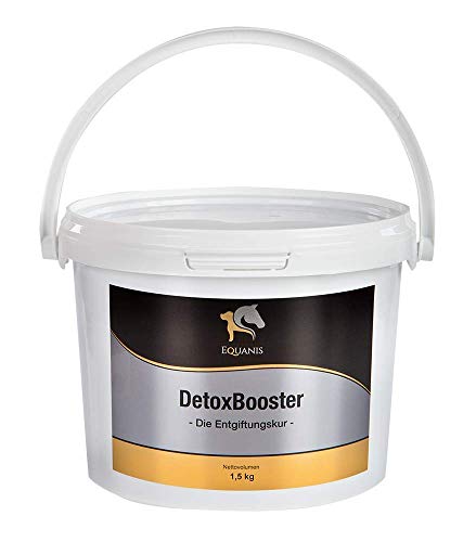 Equanis DetoxBooster - Natürliche Entgiftungskur Cover