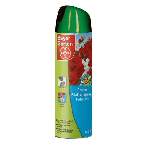 Preisvergleich Produktbild Bayer Rosen-Pilzfrei-Spray Folicur - 600 ml