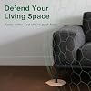 EcoVenger Bed Bug Traps & Killer 48 Ct, Super Glue Bed Bug Monitors and Interceptors, Blocks Bed Bugs' Access to Beds/Futon/Couch, Discreet Classic Oak Design for Hard Floors, Easy to Peel & Use