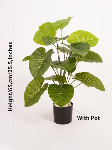 Image of ARICK DECOR Artificial Dieffenbachia Plant |Big Ornamental Plant Artificial Plant for Interior Decor /Home Decor /Office Decor|18 Leaves with Basic Black Pot (Green-AD-C)