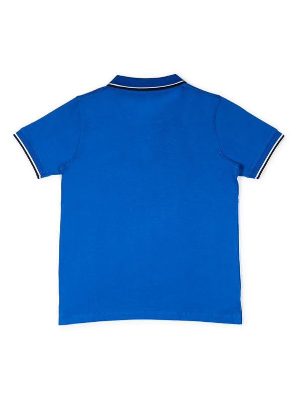 Image of Aventura Boys Polo T-Shirt Combo Pack of 2 - 100% Cotton Half Sleeve Collar T-Shirts for Boys (Age 5-12 Years)