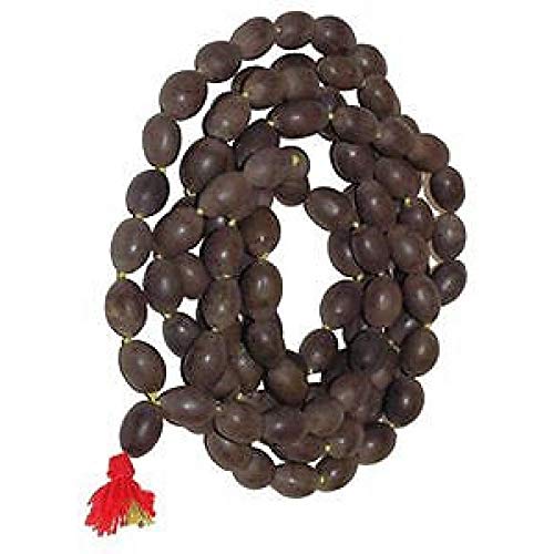 Kamal Gatta Mala authentique collier en graines de lotus