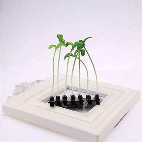 Miniatura 5 de Pinzas para el cabello de hierba divertidas, 4 piezas de horquillas de brotes de frijol, pasador de hierba, hoja verde, antena, horquillas para el