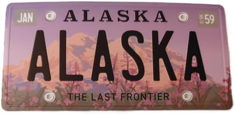 Alaska Metal License Plate Magnet 3.25" X 1.75" (Fireweed) image 5