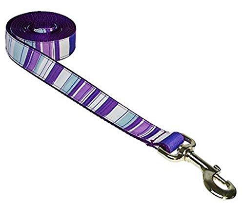 Medium Purple/Multi Stripe Dog Leash: 3/4
