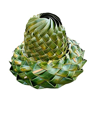 coconut hat (closed prime) (24, closed spherical prime)