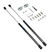 Rugged Ridge 11252.51 Hood Lift Kit