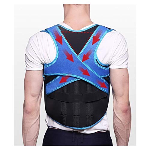 pľ^ǋxgXg[gobNjƏwwpxg (Color : Blue, Size : L) charitable