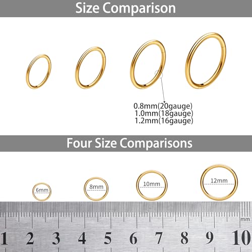 8Pcs Nose Ring Hoop & Hinged Clicker Septum Rings [16G/18G/20G]–Hoop Helix Cartilage Daith Tragus Sleeper Earrings For Women Men2