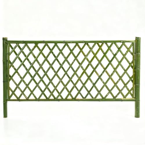 varayumi |_ |tFX p[e[V | K[ftFX   ډB O d؂ VR|  hha | iϑ (2*1.2m(D^Cv))