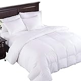Top 10 Liz Claiborne Comforters Of 2020 Best Reviews Guide