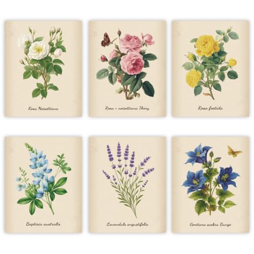 Affiches murales vintage florales GOMAKERER 6 posters botaniques 20x25 cm
