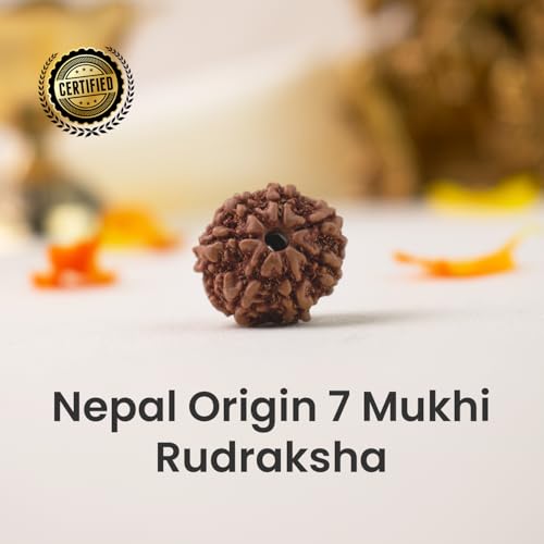 Image of Astrotalk Nepal Origin 7 Mukhi Rudraksha | Attract Wealth & Prosperity | Financial Stability, Peace & Spiritual Growth | Sacred Rudraksha Bead for Women & Men
