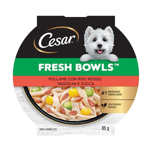 CESAR Fresh Bowl Cani Adulti Pollame con Riso, Fagiolini, Zucca Salsa 85g, 10 Confezioni