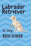  Labrador Retriever is my best friend: For Labrador Retriever Dog Fans