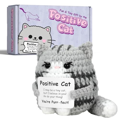 IrichBa Unique Cat Lovers Gifts for Women - Funny Positive Crochet Cat Home Decor - Animals Emotional Support Gifts for Christmas Birthday Men Uncle Aunt - Big Tail