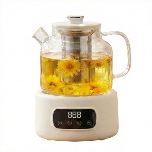 Bouilloire électrique en verre 1,2L avec infuseur et contrôle de température précis