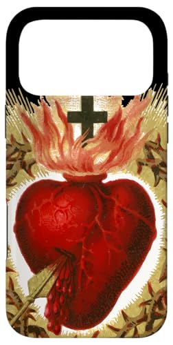 CGX̐SA[gLXgBe[WJgbN̏j X}zP[X iPhone 17 Pro Max p