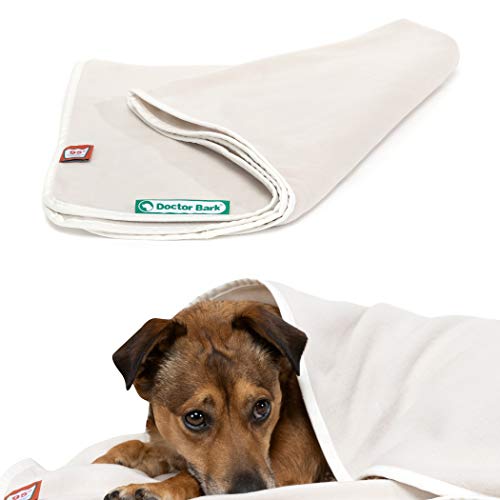 Doctor Bark | kuschelige Hundedecke waschbar bis 95°C, hygienische, weiche Fleecedecke für Sofa und Hundebett, Flauschige Haustierdecke - Made in Germany (XL - 140x100 cm/Hellbeige)