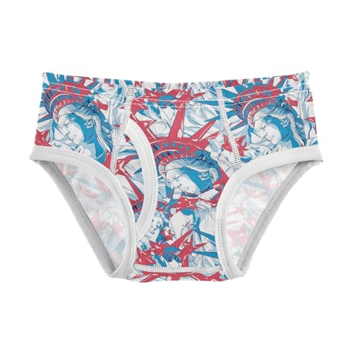 visesunny Boys Cotton Underwear Statue Of Liberty Crown Printed Toddler Soft Training Briefs Size 2T-8Y for Kids